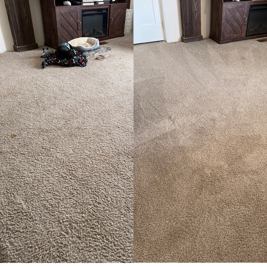Before and after professional carpet cleaning