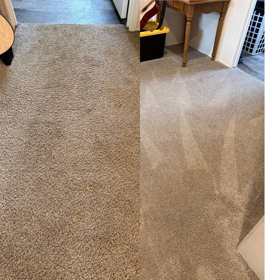 Carpet before and after professional cleaning